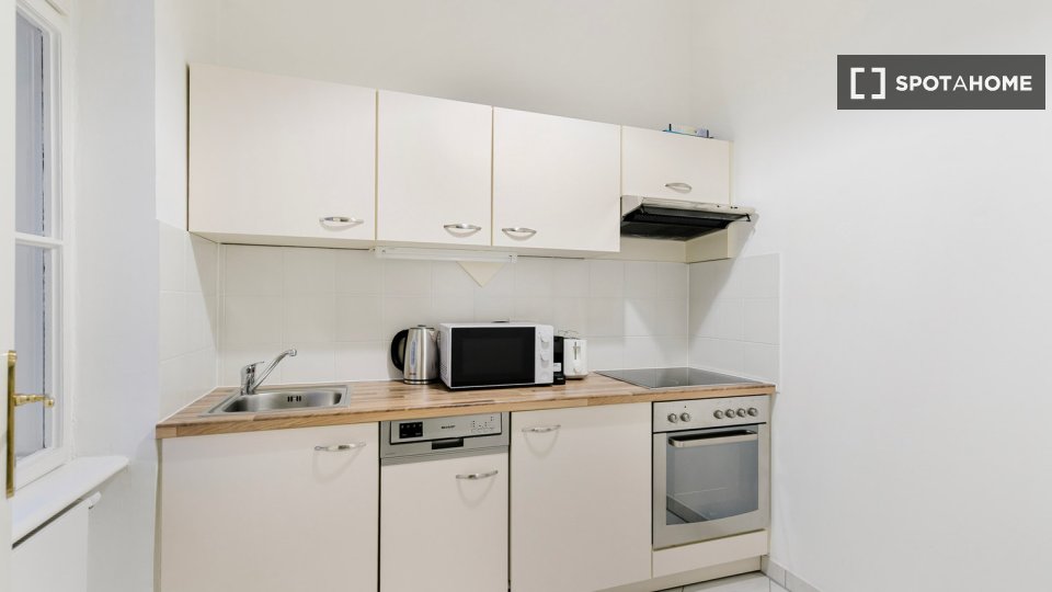 Apartment mono Vienna, 36m² — photo 4