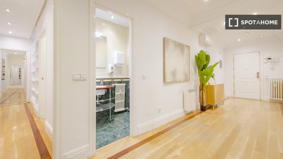 Double room Madrid, 13 beds, 266m² — photo 10