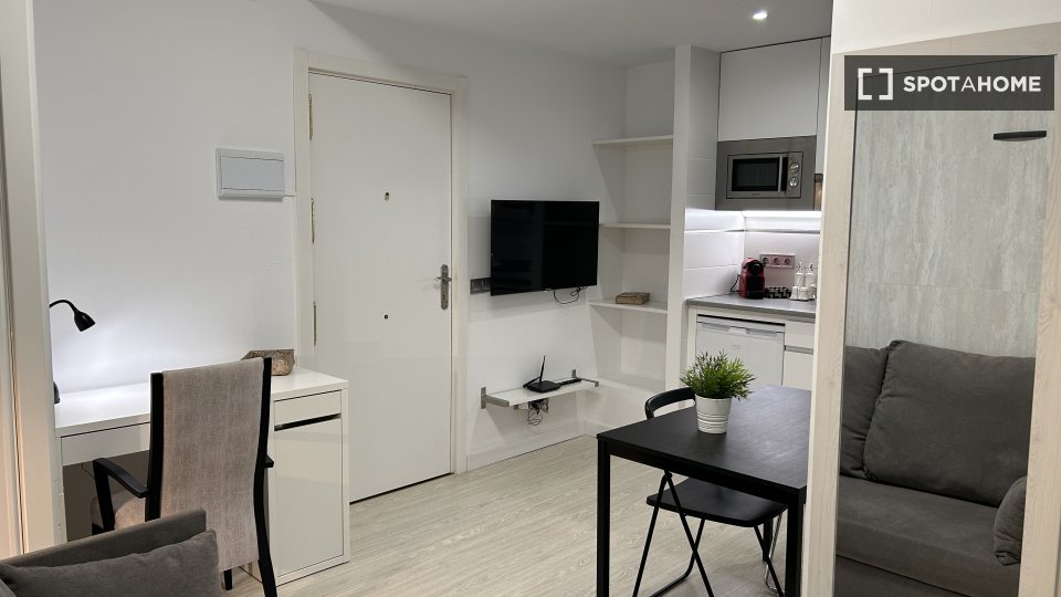 Apartment Madrid, 1 bed — photo 13