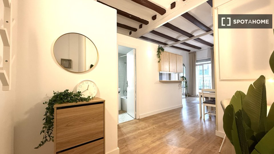 Apartment mono Barcelona, 40m² — photo 15