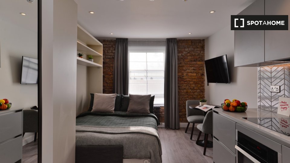 Studio apartment for rent in Notting Hill, London (ref 642349) Spotahome