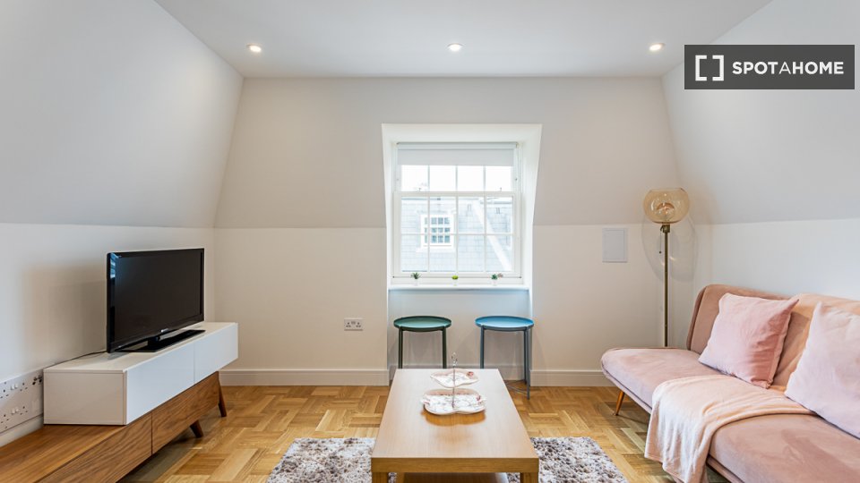 Apartment London, 1 bed — photo 14