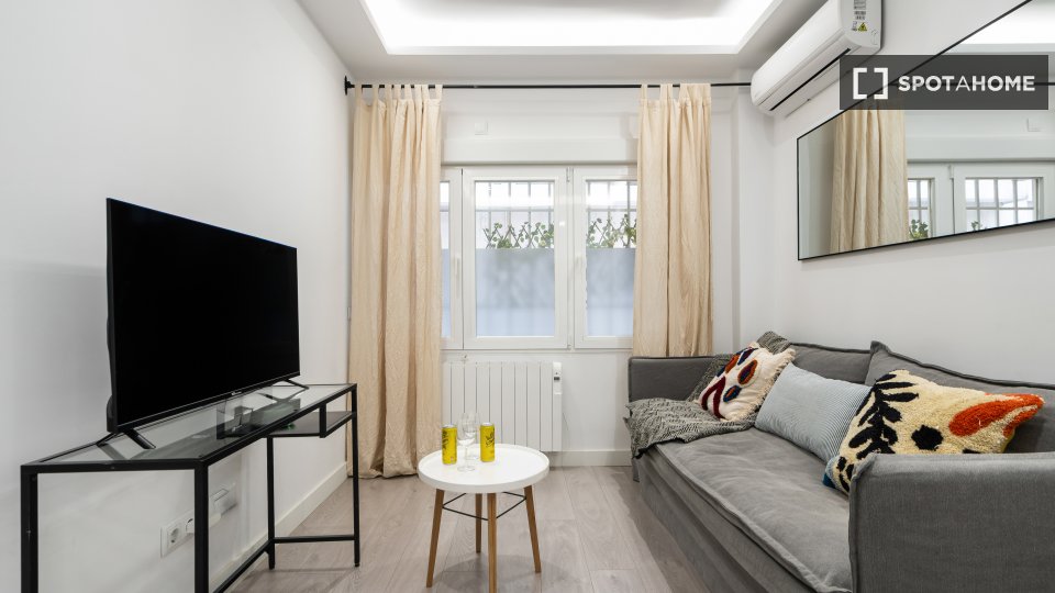 Apartment mono Madrid, 55m² — photo 18