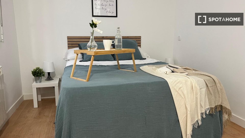 Double room Madrid, 4 beds, 64m² — photo 10