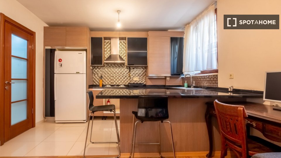 Apartment Istanbul, 1 bed — photo 14