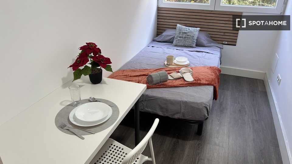 Double room Madrid, 5 beds, 85m² — photo 11