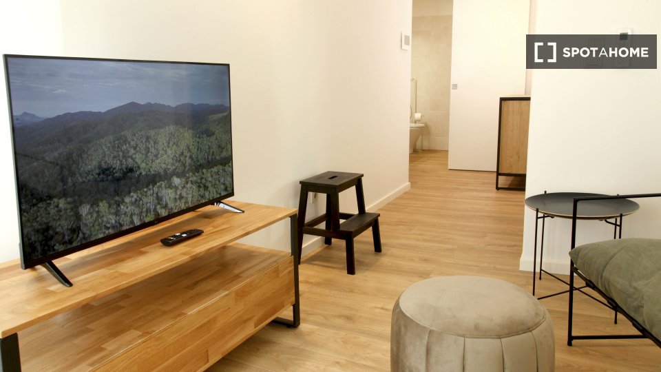 Apartment Porto, 1 bed — photo 12