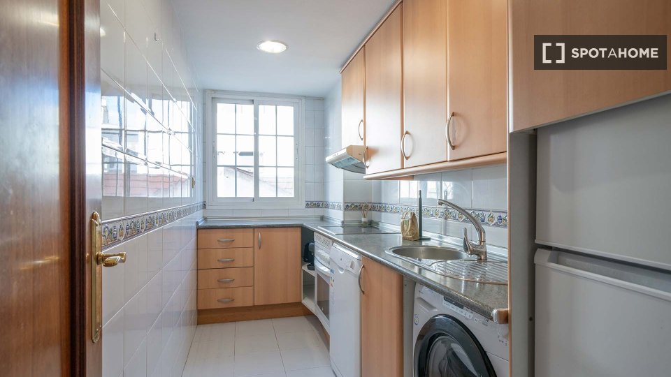 Apartment mono Madrid, 50m² — photo 4