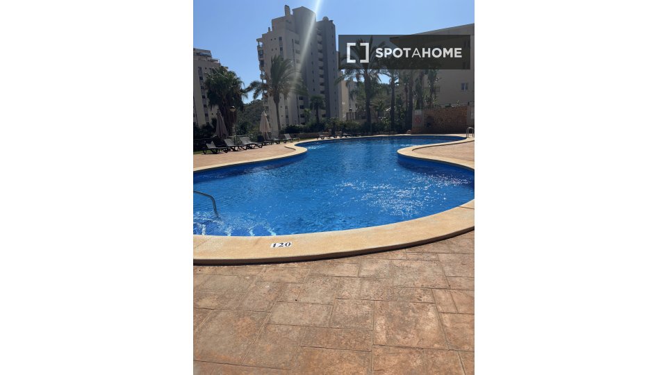 Double room Alicante, 1 bed, 30m² — photo 7