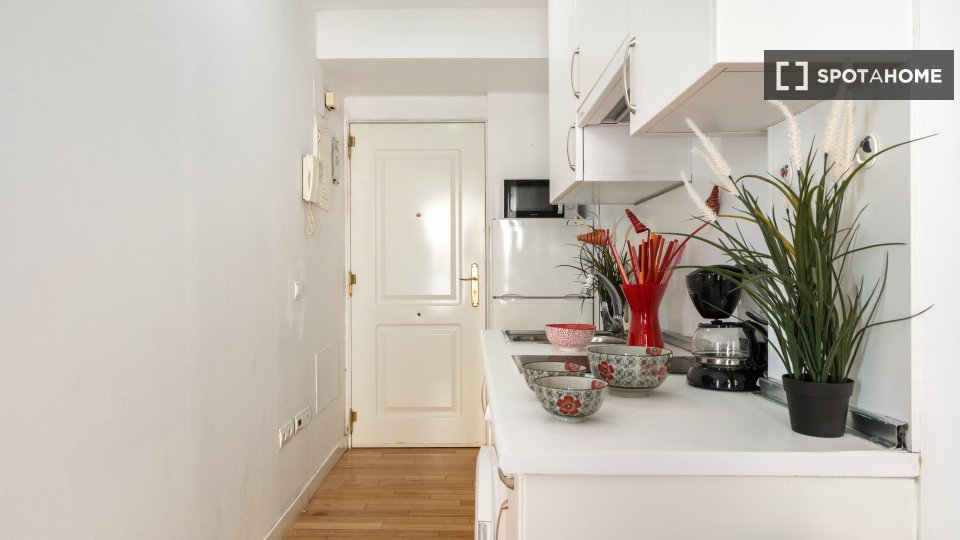 Apartment Madrid, 1 bed — photo 19