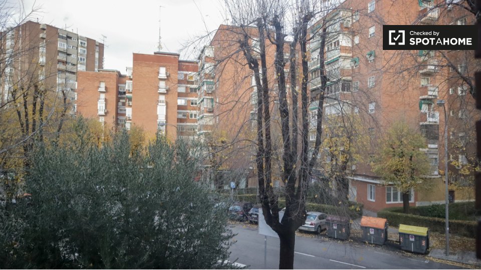 Double room Madrid, 3 beds, 91m² — photo 11