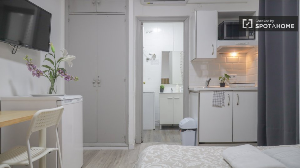 Apartment mono Madrid, 19m² — photo 6