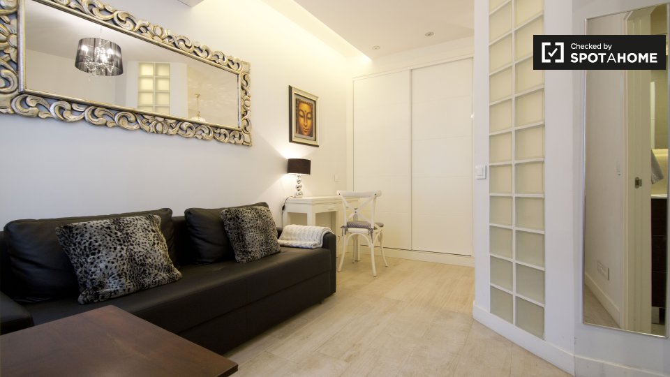 Apartment mono Madrid, 35m² — photo 5