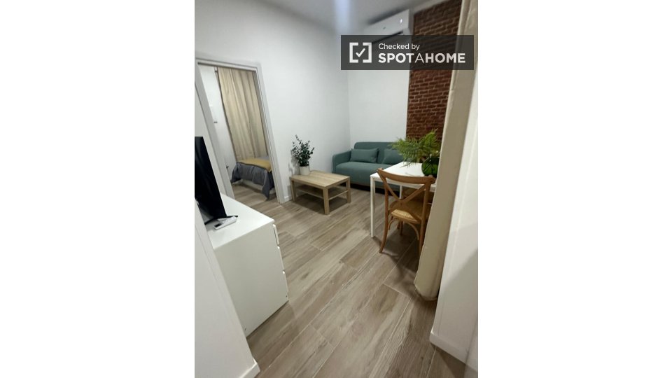 Apartment Madrid, 1 bed — photo 14