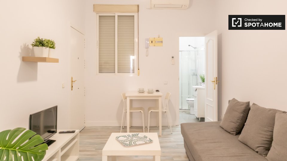 Apartment Madrid, 1 bed, 38m² — photo 3