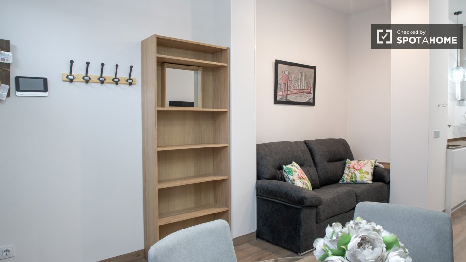 Apartment Madrid, 1 bed — photo 16