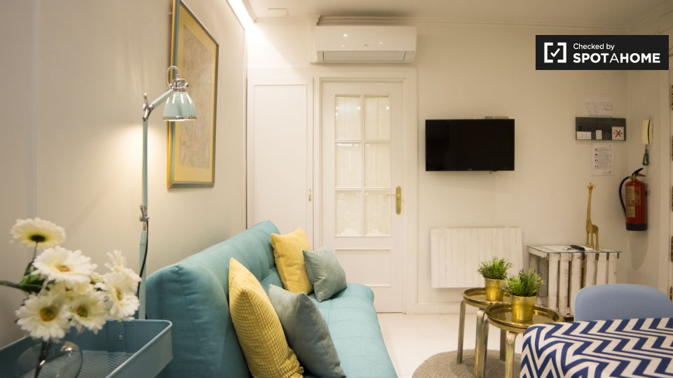 Apartment Madrid, 1 bed — photo 10
