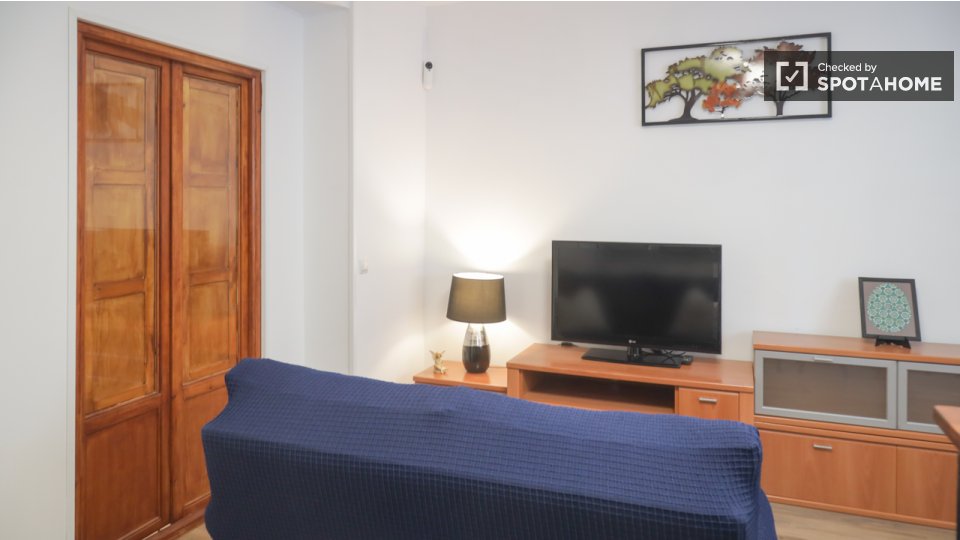 Apartment Madrid, 1 bed — photo 5