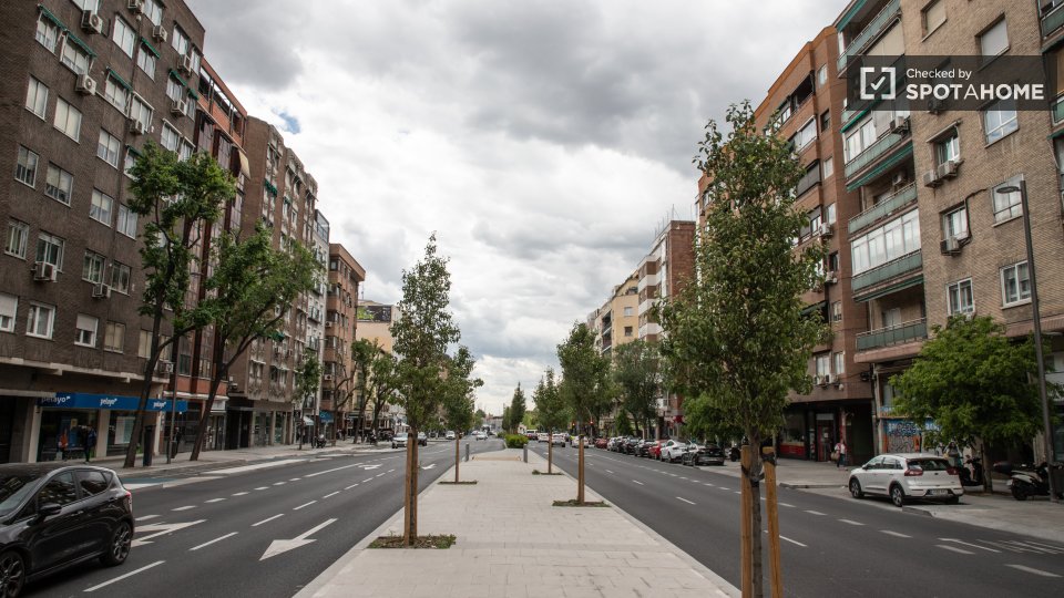 Apartment mono Madrid — photo 4