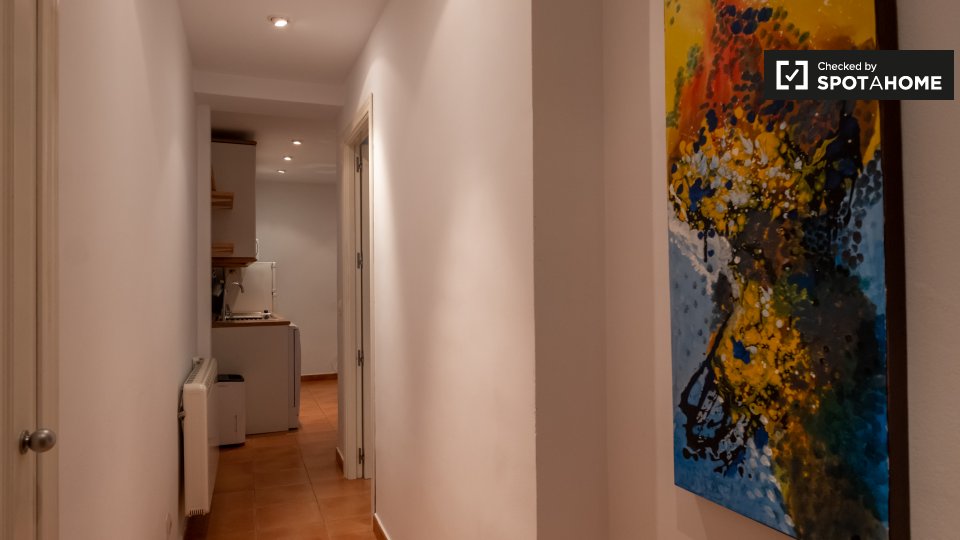 Apartment Madrid, 1 bed — photo 17