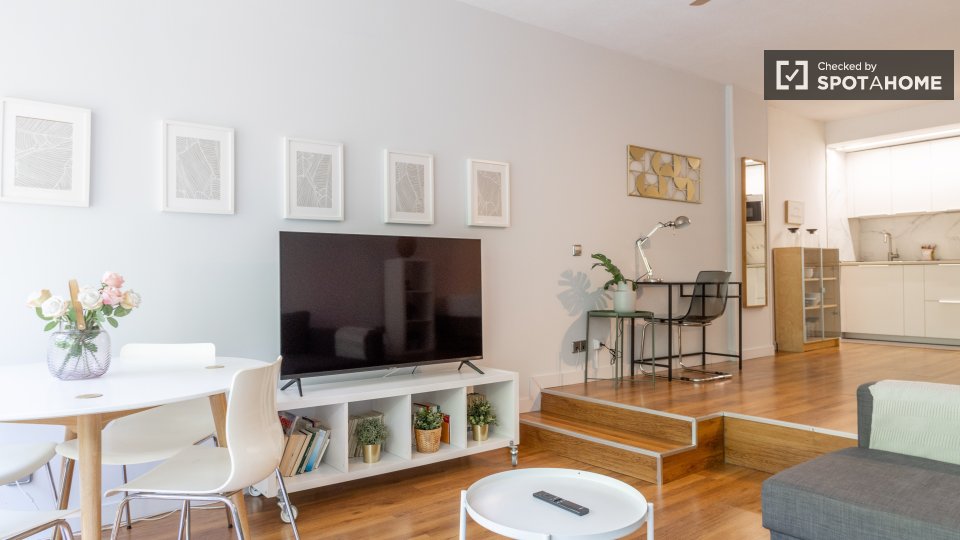 Apartment Madrid, 1 bed — photo 20