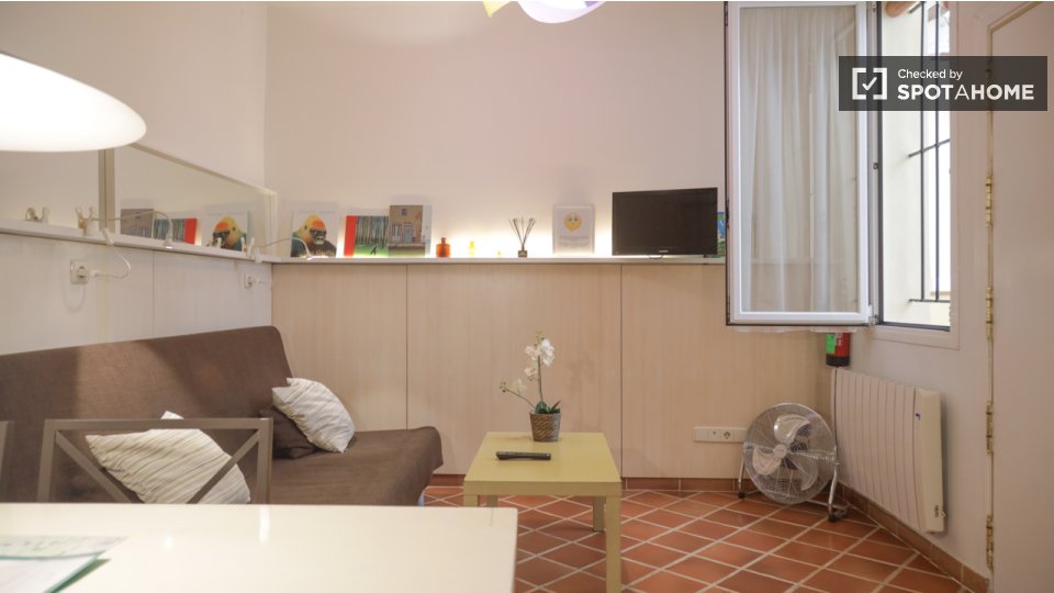 Apartment mono Madrid, 34m² — photo 15