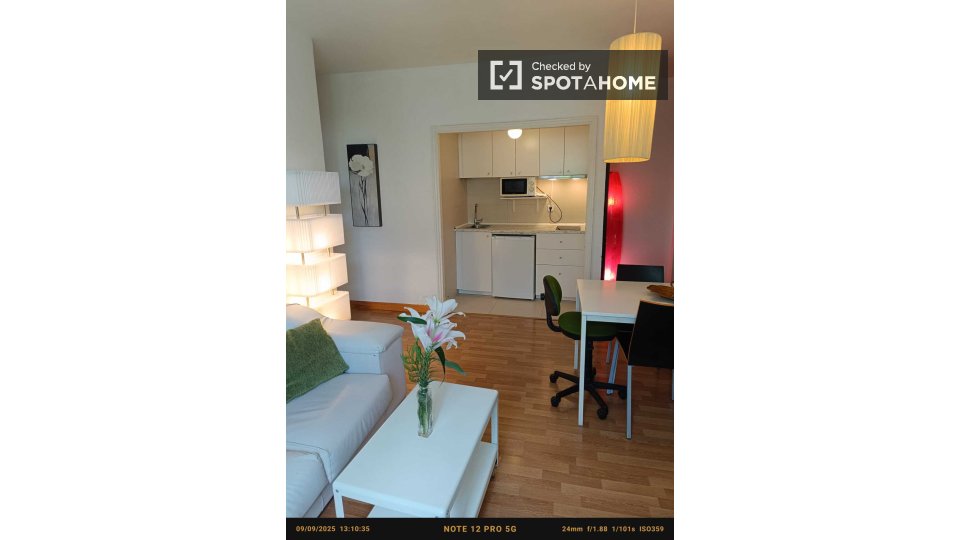 Apartment Madrid, 1 bed — photo 2