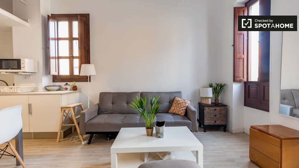 Apartment mono Valencia, 40m² — photo 3