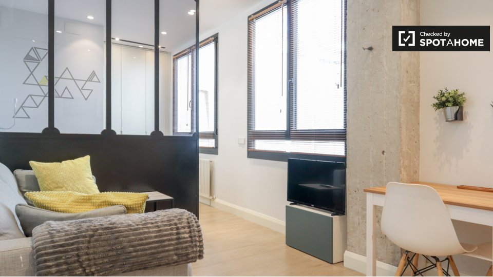 Apartment Madrid, 1 bed — photo 11
