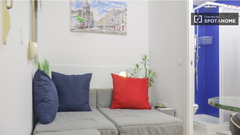 Apartment Madrid, 1 bed — photo 18