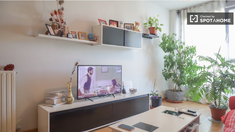 Double room Madrid, 3 beds, 70m² — photo 12