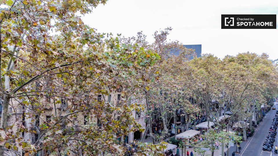 Apartment Barcelona, 3 beds, 110m² — photo 7