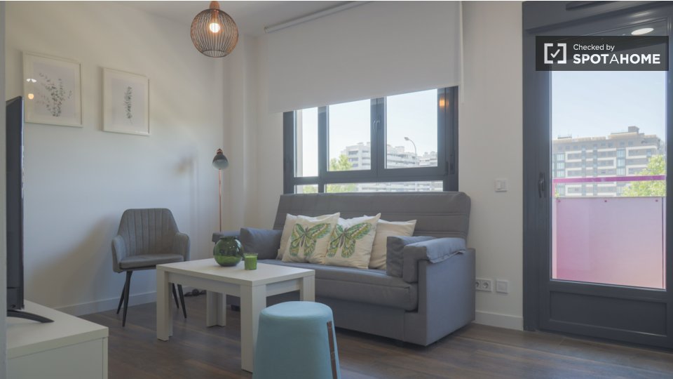 Apartment Madrid, 1 bed — photo 13