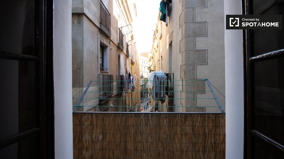 Double room Barcelona, 2 beds — photo 12