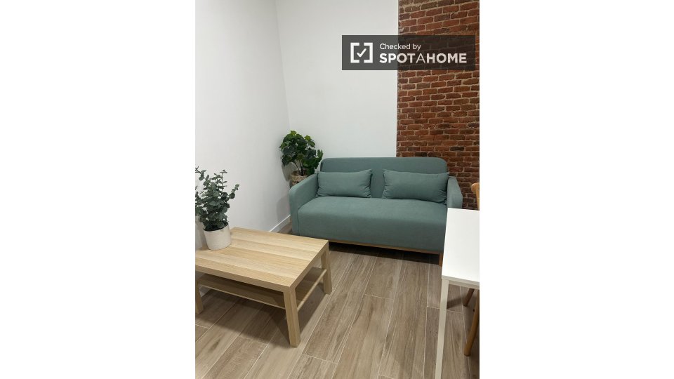 Apartment Madrid, 1 bed — photo 16