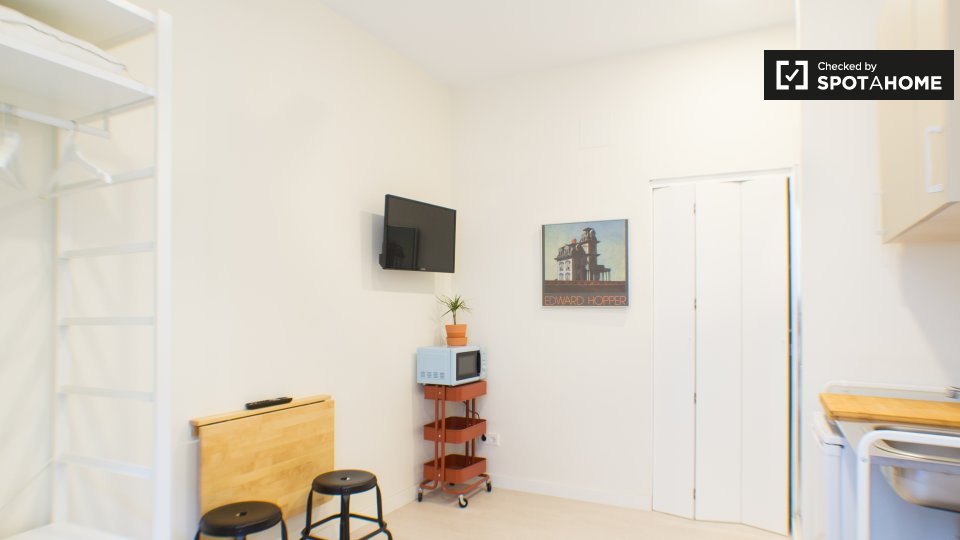 Apartment mono Madrid, 23m² — photo 4