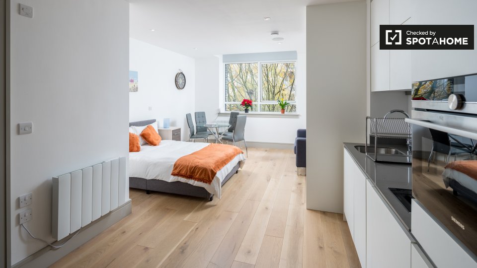 Studio apartment for rent in Seven Sisters, London (ref 1002824