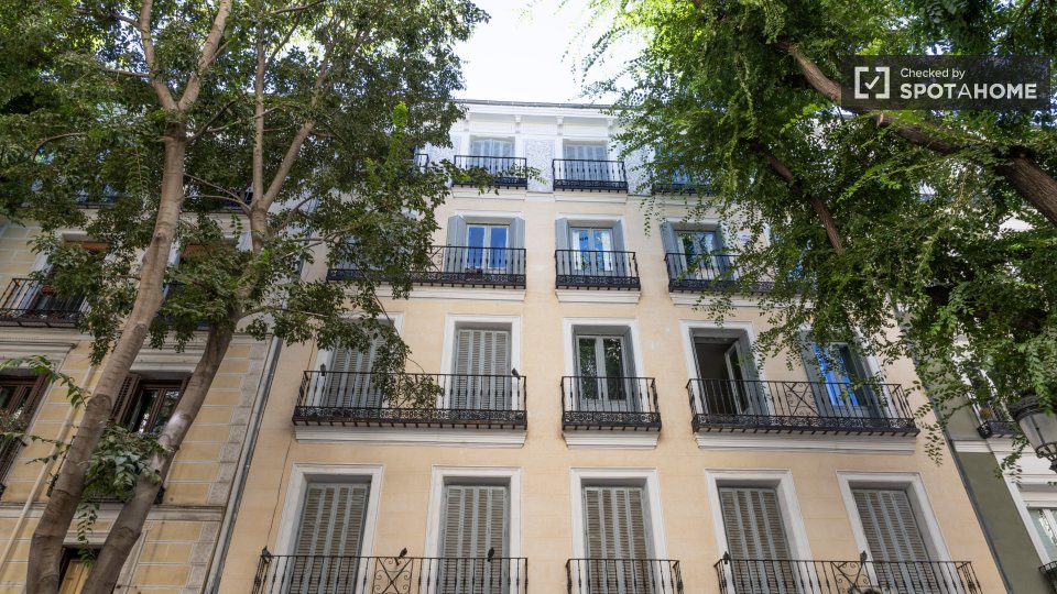 Apartment Madrid, 1 bed — photo 66