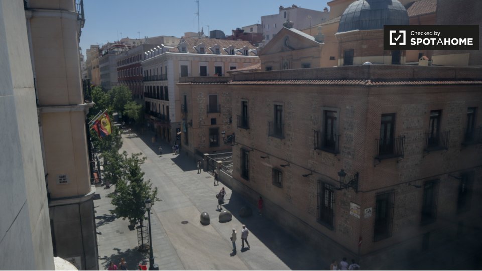 Double room Madrid, 12 beds, 280m² — photo 7