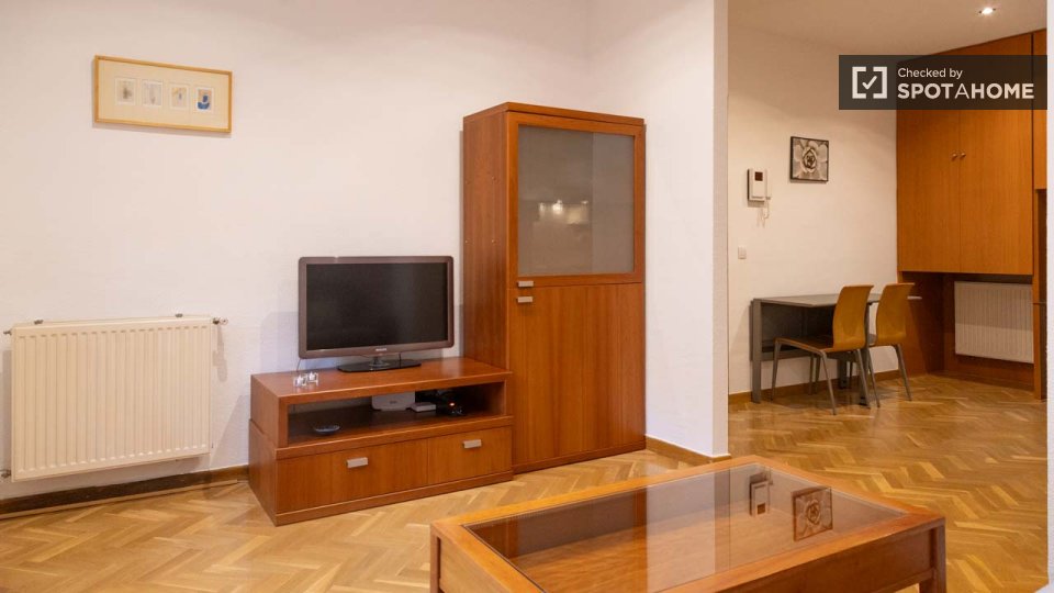 Apartment Madrid, 1 bed — photo 4