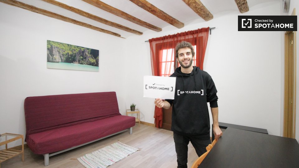 Double room Barcelona, 2 beds — photo 18
