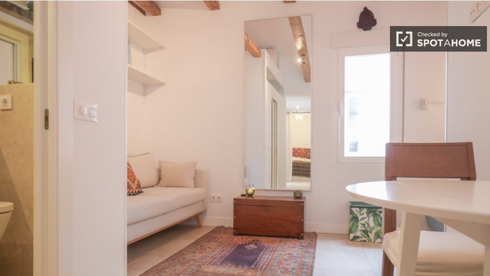 Apartment mono Madrid — photo 15
