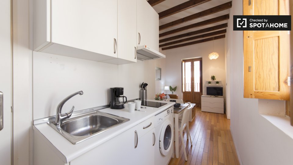 Apartment mono Madrid — photo 14