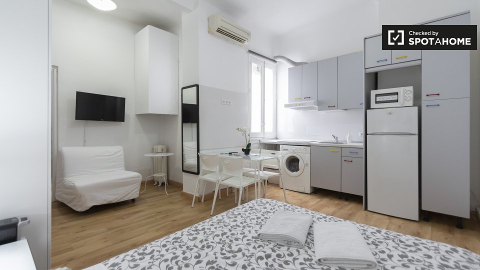 Apartment mono Madrid, 25m² — photo 8