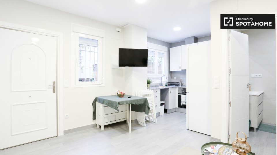 Apartment mono Madrid, 42m² — photo 4
