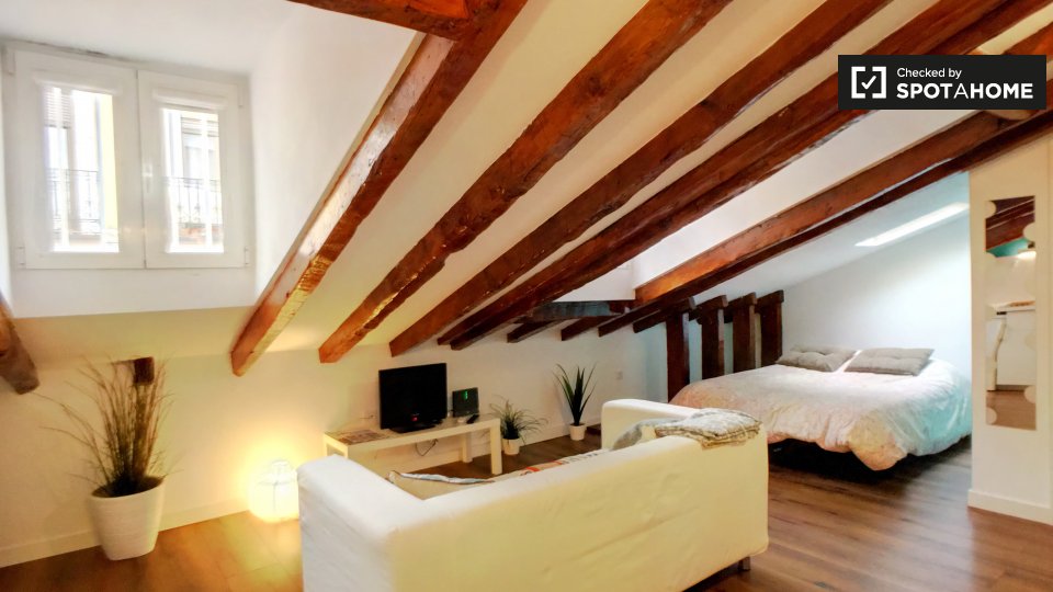 Apartment mono Madrid, 30m² — photo 14