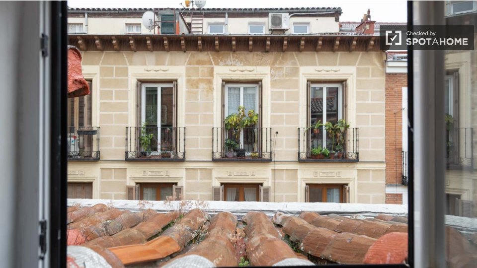 Apartment Madrid, 1 bed — photo 8