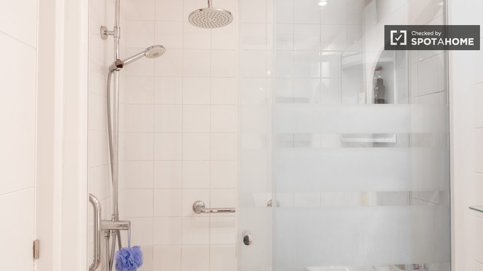 Double room Madrid, 5 beds, 101m² — photo 66