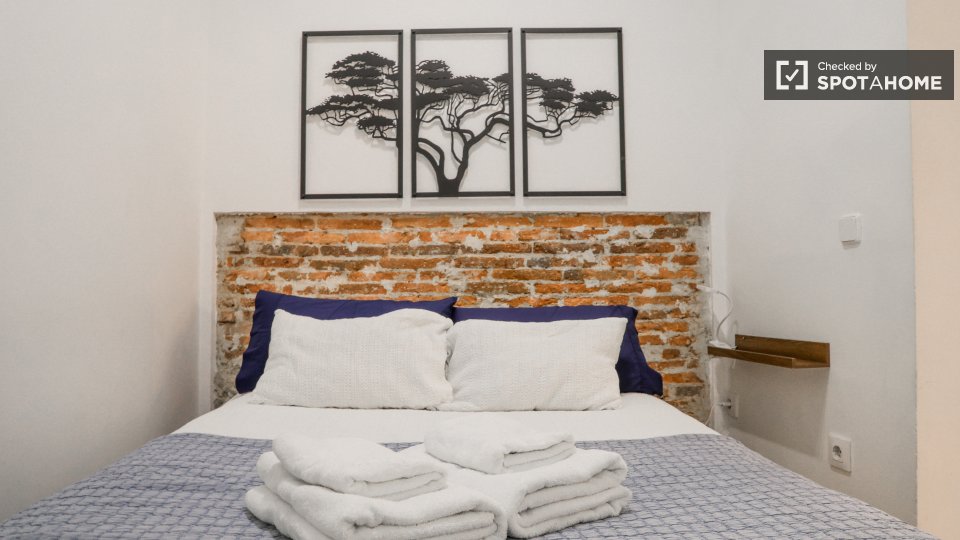Apartment Madrid, 1 bed — photo 30
