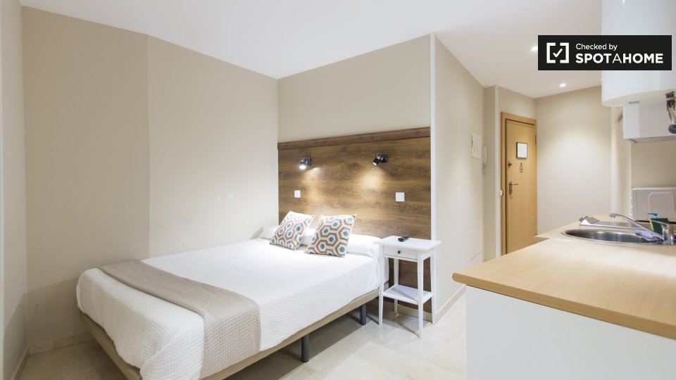 Apartment mono Madrid, 22m² — photo 8